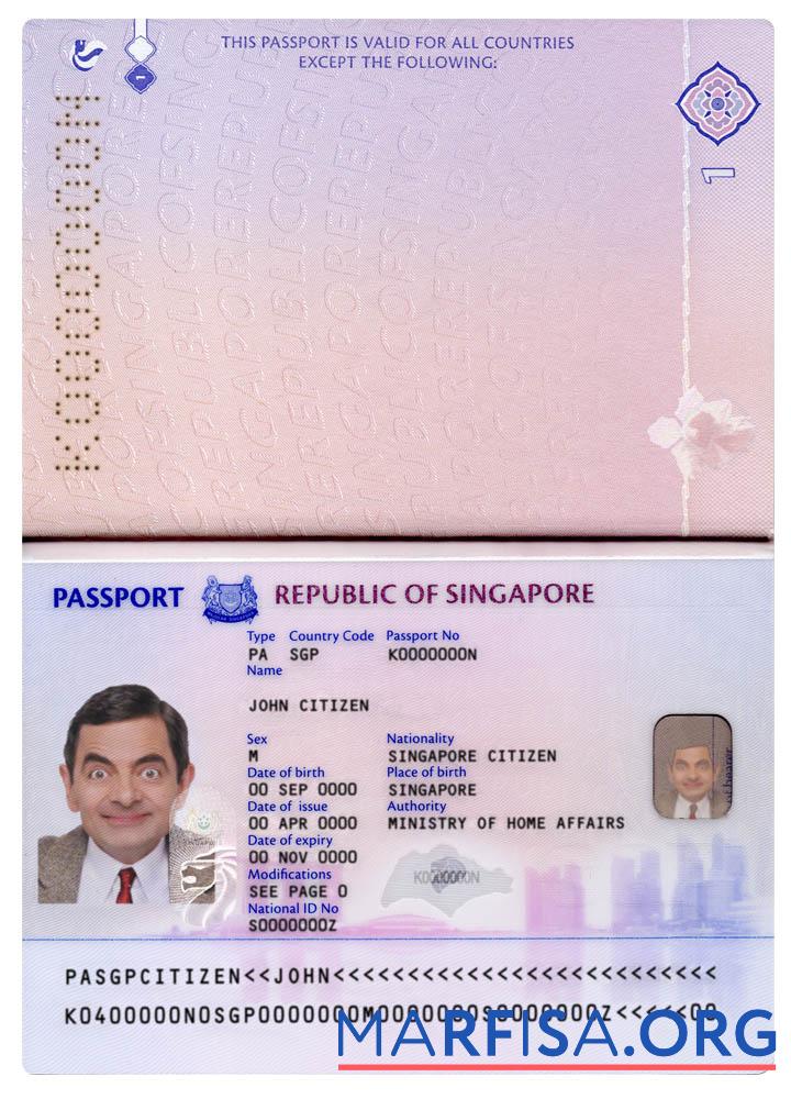 Downloadable Singapore new passport (2017+) sample